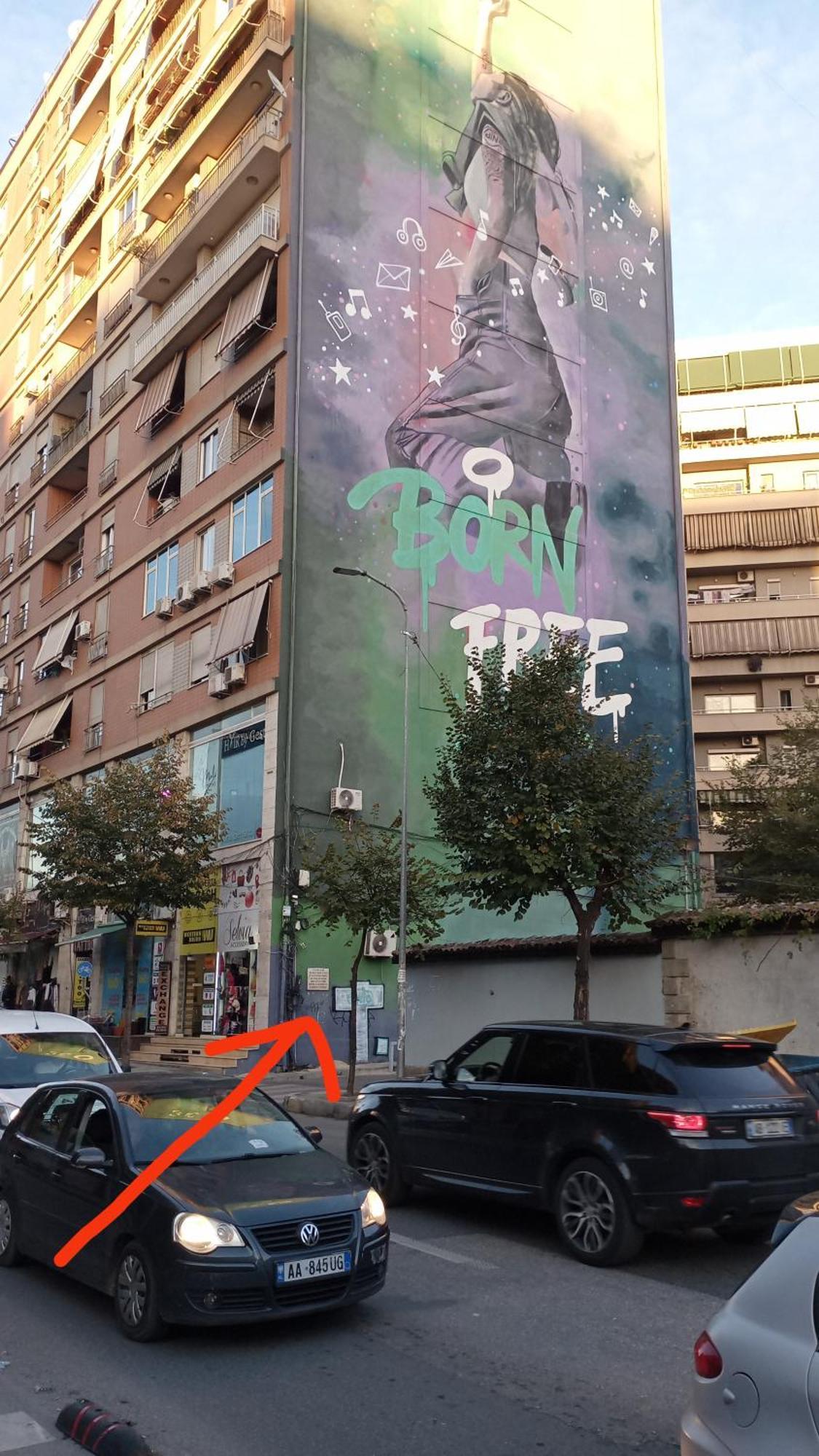 Selvia * Tirana